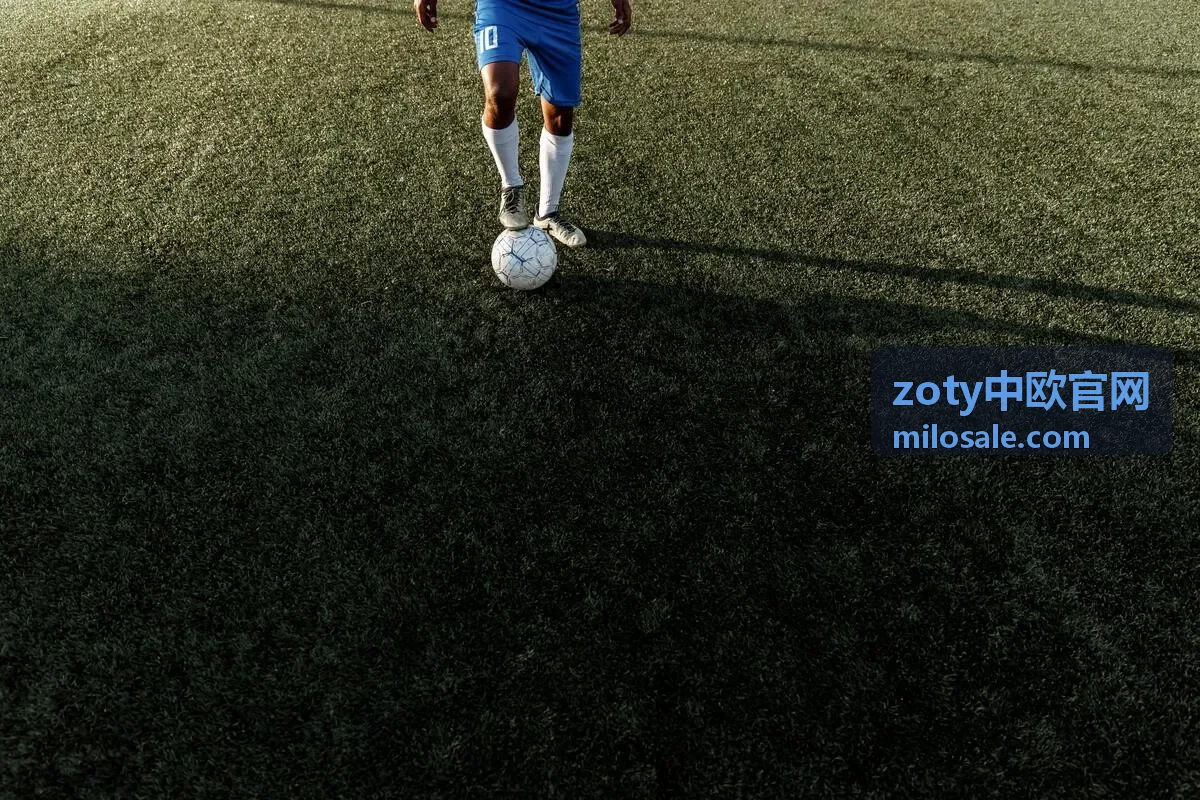 zoty中欧官网直播观看设置