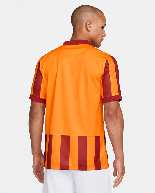 Galatasaray 2023/24 Stadium Third Men's Nike Dri-FIT Football Short-Sleeve Top