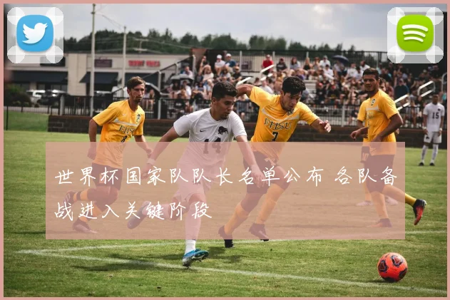 世界杯国家队队长名单公布 各队备战进入关键阶段