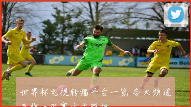 世界杯电视转播平台一览 各大频道及线上观赛方式解析