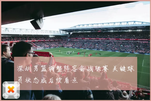 深圳男篮调整阵容备战联赛 关键球员状态成后续看点
