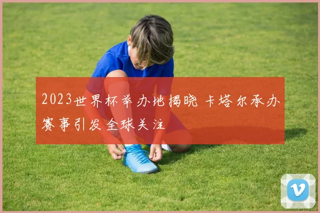 2023世界杯举办地揭晓 卡塔尔承办赛事引发全球关注