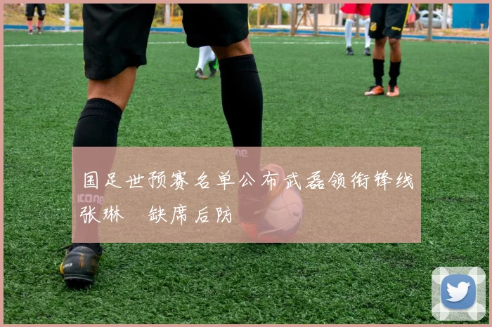 国足世预赛名单公布武磊领衔锋线张琳芃缺席后防