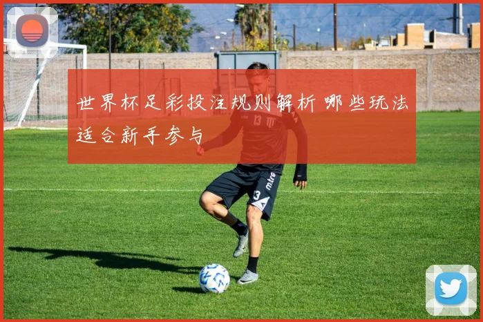 世界杯足彩投注规则解析 哪些玩法适合新手参与