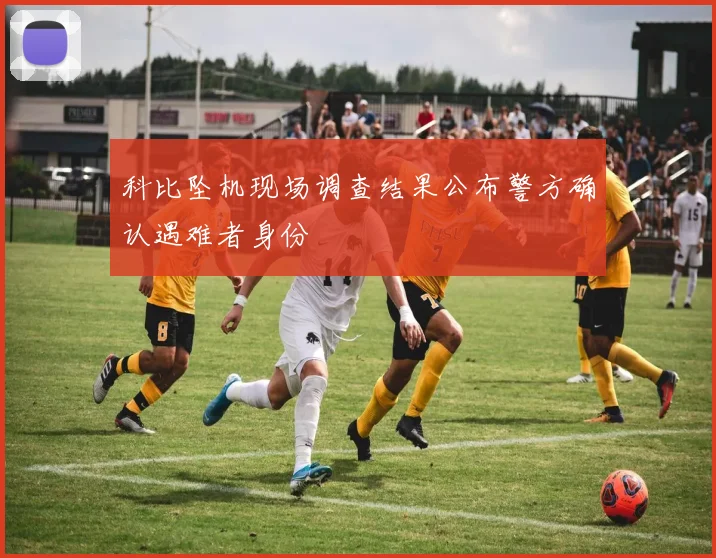 科比坠机现场调查结果公布警方确认遇难者身份