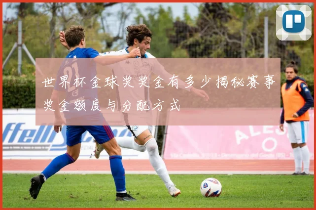 世界杯金球奖奖金有多少揭秘赛事奖金额度与分配方式