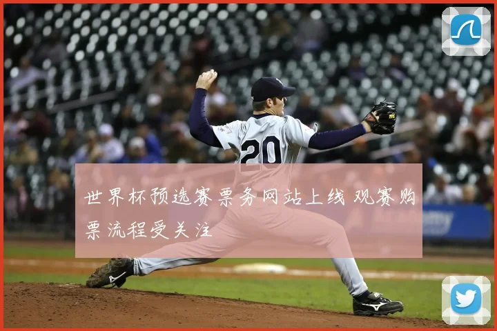 世界杯预选赛票务网站上线 观赛购票流程受关注