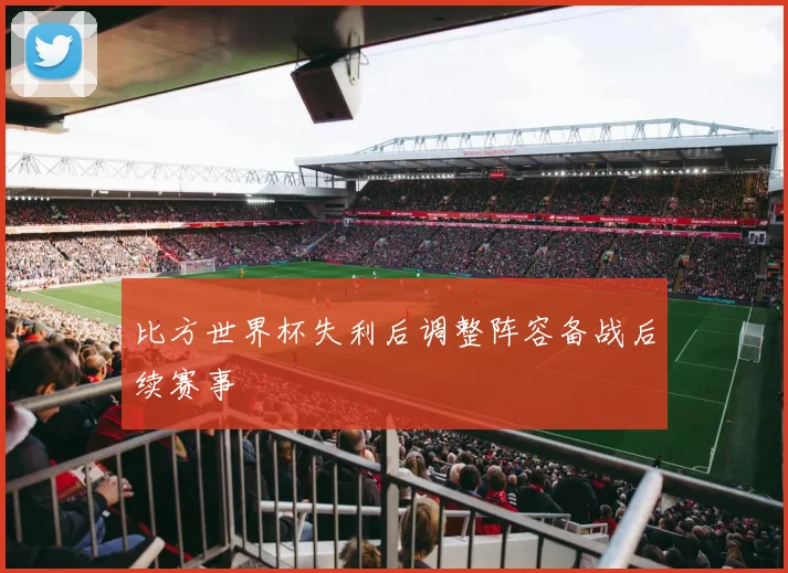 比方世界杯失利后调整阵容备战后续赛事