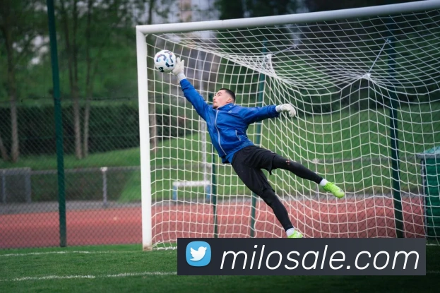 数据防护可视化